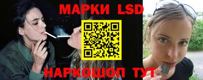 мдпв Донской